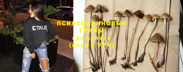 эйфоретик Баксан